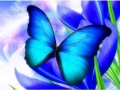 BUTTERFLIES-Blue Butterfly Mystique by Alan Foxx - PoP x HoyPoloi Gallery