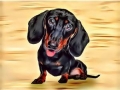 DOGS - Dachshund Puppy by Alan Foxx - PoP x HoyPoloi Gallery