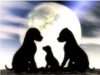 DOGS-Little Family in the Moonlight by Alan Foxx - PoP x HoyPoloi Gallery