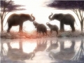 ELEPHANTS-Elephant Family in Harmony by Alan Foxx - PoP x HoyPoloi Gallery