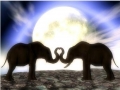 ELEPHANTS- Elephants in Love in the Moonlight by Alan Foxx - PoP x HoyPoloi Gallery
