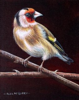 Goldfinch III