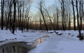 Frozen Creek