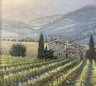 Vineyards Of Tuscany