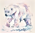 Ice Patrol-Polar Bear