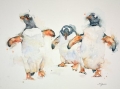 Joyful Gentoo Penguins