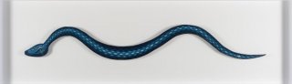 Blue Snake (Strange Botanica Series)