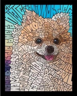 DOG-POMERANIAN by Curtis Epperson - PoP x HoyPoloi Gallery