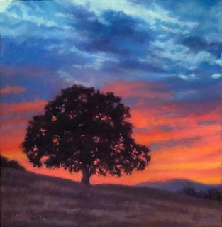 Foothills Oak at Sunset