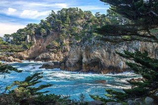Point Lobos #5054