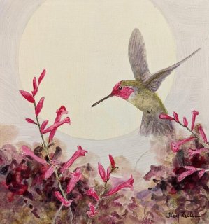 Anna's Hummingbirds and Red Flowers