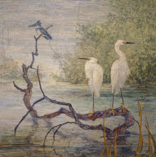 Egrets & Kingfisher