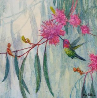 Hummingbird & Eucalyptus