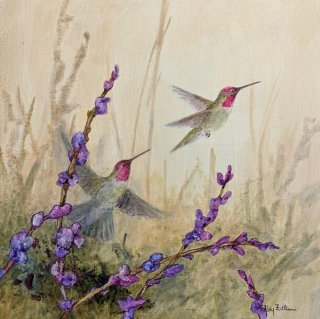 Hummingbird Chase