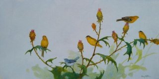 Lesser Goldfinch Flock