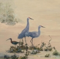 Sandhill Cranes And Ibis