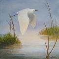 Snowy Egret Flying II