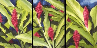 Red Ginger Triptych