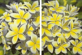Yellow Plumeria Diptych 3
