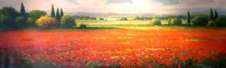 Landscape of Poppies