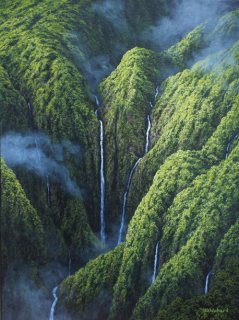 Waterfall in Honokahau