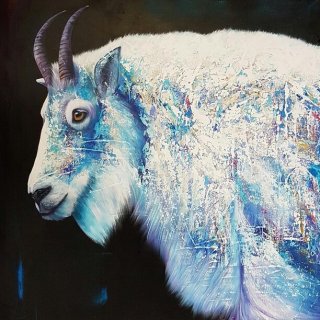 Einstein - The Rocky Mountain Goat