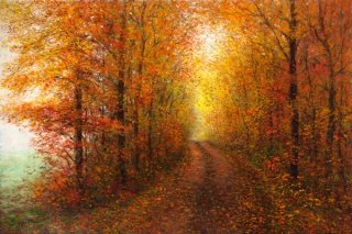 A Misty Autumn Road
