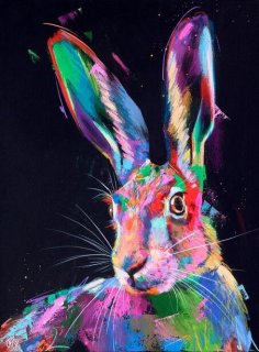 Vivid Hare Spirit