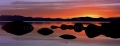 Bonsai Sunset Panorama