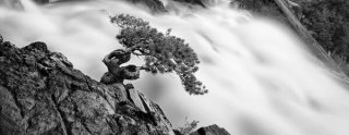 Eagle Falls Bonsai Panoramic Black and White