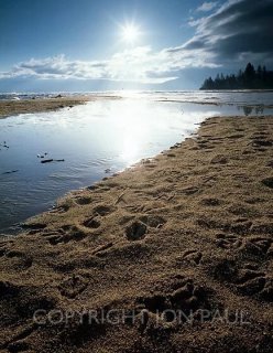 Footprints and Sunstar, Lake Tahoe