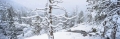 Winter Tranquility Panorama