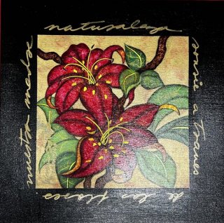 Luis Sottil - Dark Red Florwers Framed Naturalismo Painting