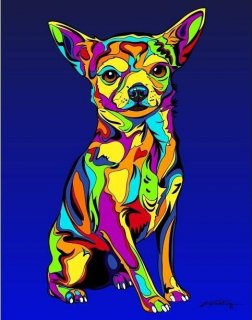 Chihuahua #1