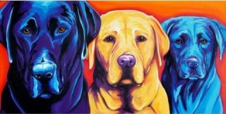 3 LABS by Michelle Mardis - PoP x HoyPoloi Gallery