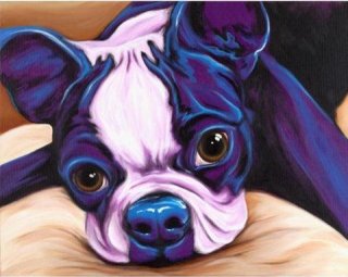 ABBEY-Boston Terrier by Michelle Mardis - PoP x HoyPoloi Gallery