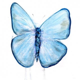 Butterfly V