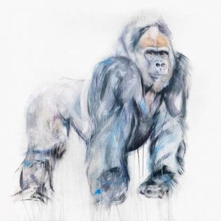 Gorille I