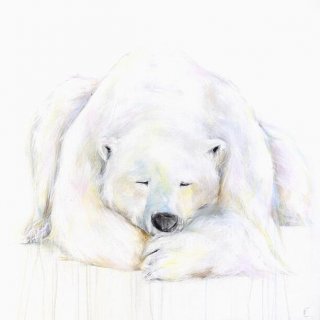 Polar Bear LXX
