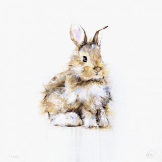 Rabbit I (Série/Series)