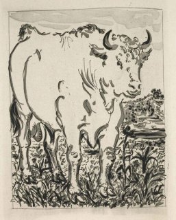 481 - The Ox (Histoire Naturelle - Textes de Buffon, B.330)