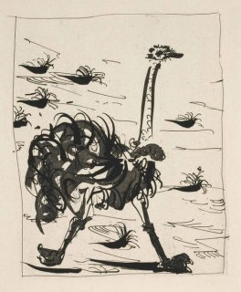 484 - The Ostrich (Histoire Naturelle - Textes de Buffon, B.343)