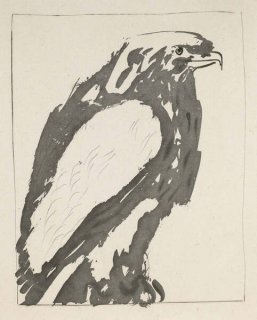 488 - The White Eagle (Histoire Naturelle - Textes de Buffon, B.340)
