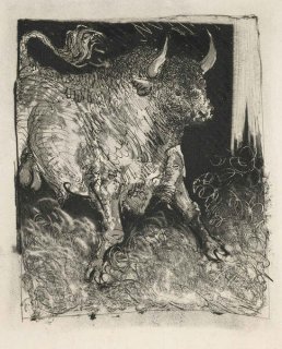 490 - The Bull (Histoire Naturelle - Textes de Buffon, B.331)