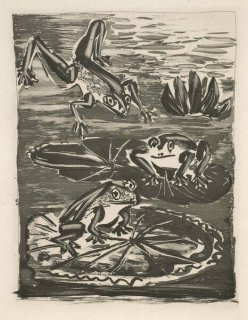 496 - The Frog (Histoire Naturelle - Textes de Buffon, B.357)