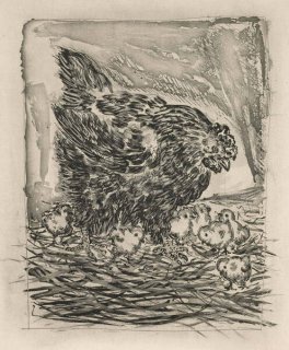 498 - The Mother Hen (Histoire Naturelle - Textes de Buffon, B.345)