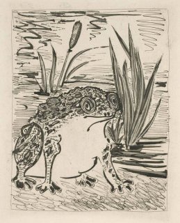502 - The Toad (Histoire Naturelle - Textes de Buffon, B.356)