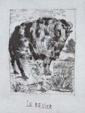 The Ram, 1942 (Histoire Naturelle - Textes de Buffon, B.332)