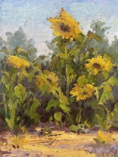 Afternoon Sunflowers