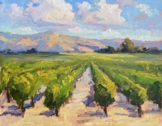 Livermore Wine Country